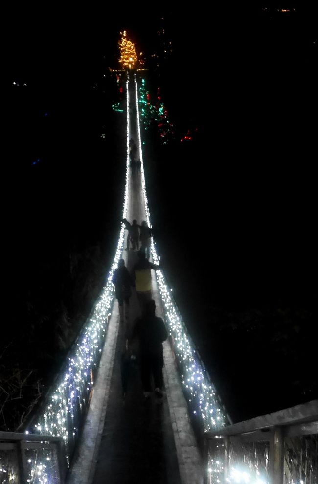 2015.12バンクーバー学会旅行3-Capilano　Suspension Bridge　のライトアップ