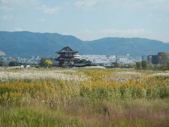 京都・奈良　２０１５・１０・２７～３０　②奈良を中心に