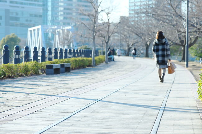 大寒波から一転しポカポカ陽気となった火曜日の午後、横浜のレトロスポットを見たくなり妻を誘ってのんびり歩いてきました。<br /><br />我が家からは渋滞なしで40分ほど。<br />意外に近いので、思いついたら行ける距離なんです。<br /><br />==おもな散歩スポット==<br />横浜開港資料館<br />横浜市開港記念会館<br />赤レンガ倉庫<br />汽車道<br />馬車道<br />馬車道十番館