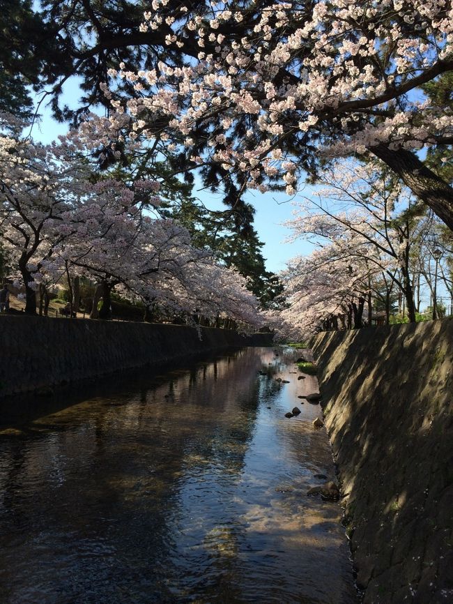 <br />自然も多く、ノンビリお散歩できる西宮夙川で<br />最近話題の予約必須のお店に行きました。<br />半年前の年末だったので冬のメニューですが、コスパもよくとてもお薦めのお店ですので、宜しければご覧下さい。<br /><br />表紙写真は、桜の夙川です。<br />今の時期は、ホタルが飛ぶ癒されスポットです。