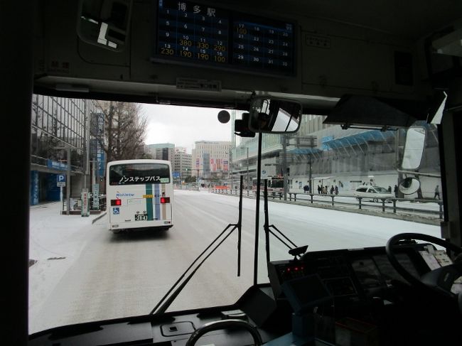 100年に一度の寒波。博多でも雪が降りました。積雪は本当に何年振りでしょう。<br /><br />雪にはへたれの博多っ子(笑)<br />スタッドレスタイヤはおろか、チェーンも持っていない人がほとんど。<br /><br />そういうわけで、天神を走っている車はバスと一部のタクシー・・・それに、常日頃スキー遠征にでも行くことがある人の一般車がちらほら・・・・という具合。<br /><br />真っ白に覆われた景色は、まるで博多じゃないみたい。<br />つらら・・・見たの何年振りだろう〜〜〜〜。<br /><br />まるで別世界に来たみたいで、なんだかわくわくの幸せな一日でした。