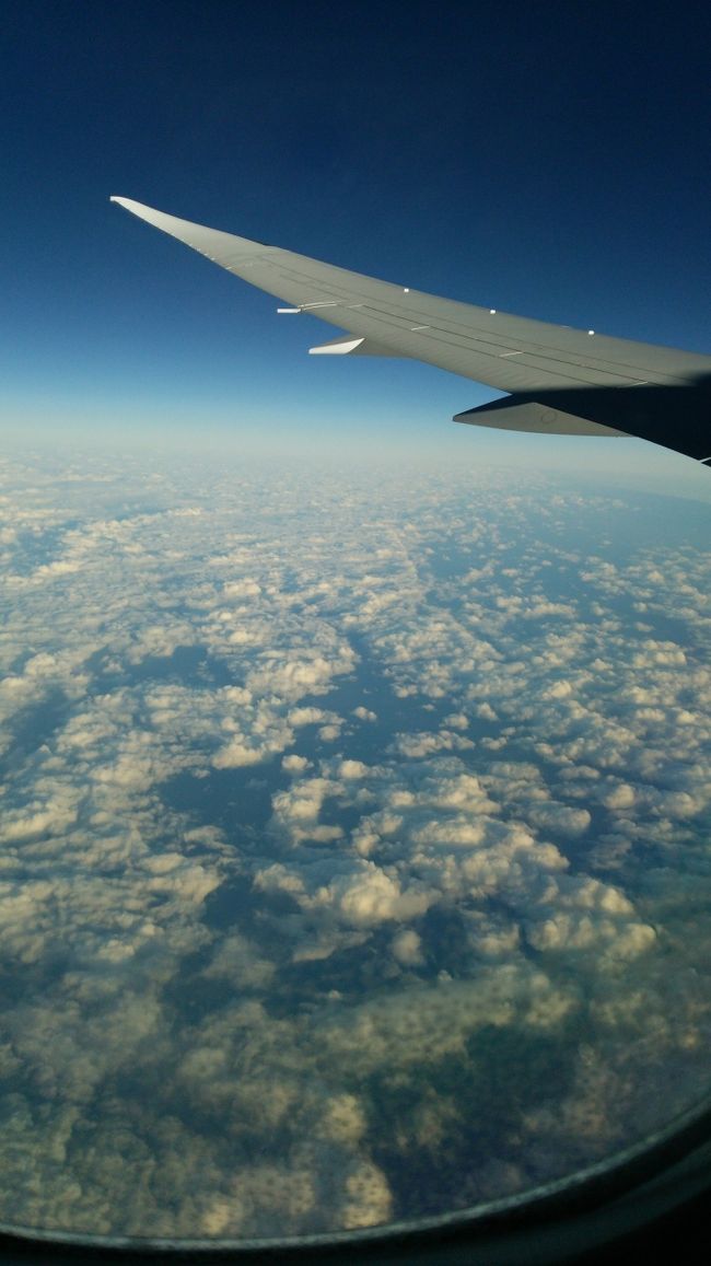 12月31日の大晦日、成田空港第二ターミナルに向かいました。<br />４月にパリに行き、フランス好きになった嫁と待ちに待ったフランス行き!!