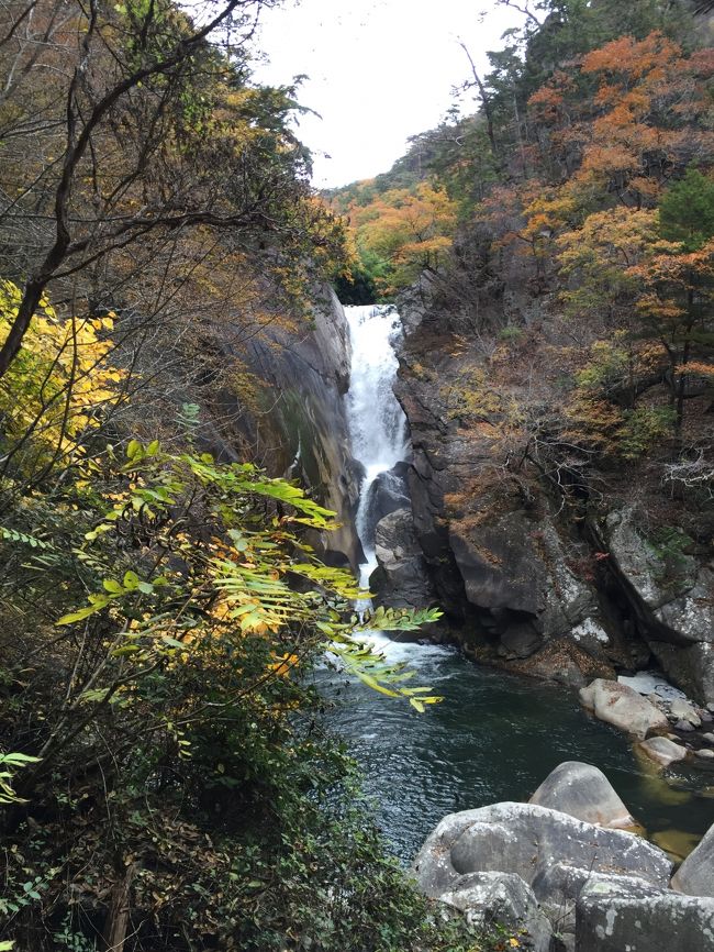 いつもの旅仲間Y氏から「山の家のベランダのペンキ塗り、手伝ってくださいよ」とのお誘いに「待ってました」と便乗して、２０１５年最後の紅葉狩りとなりました。<br />この秋２回目の大泉生活の始まりです。<br />父が健在のころは、毎年父の誕生祝を兼ねて秋の信州を旅しておりましたが、あまりの渋滞に最近は紅葉のシーズンの中央道とはすっかり縁が切れています。しかし、平日も旅行ができる身となり久しく、今年はずいぶん紅葉を楽しみました。<br />さて、平日のお昼近くにゆっくりと家を出ても、陽のあるうちに到着できました。まずは第一目的のベランダのペンキ塗り。これは出かけるための口実ですね。すぐ終わりました。ついでに雑草抜き。これもそんなにまじめにやらないのですぐ終わりです。温泉に浸かって、Y氏の手料理をごちそうになり、「さて、明日はどこへ行きましょうか」<br />「昇仙峡はどうですかね」「決まり！！」<br />「昇仙峡」意外と行ってないんですね。つい、信州へ足が向いてしまいます。<br />計画はY氏にお任せ。宜しくお願いします。<br /><br />