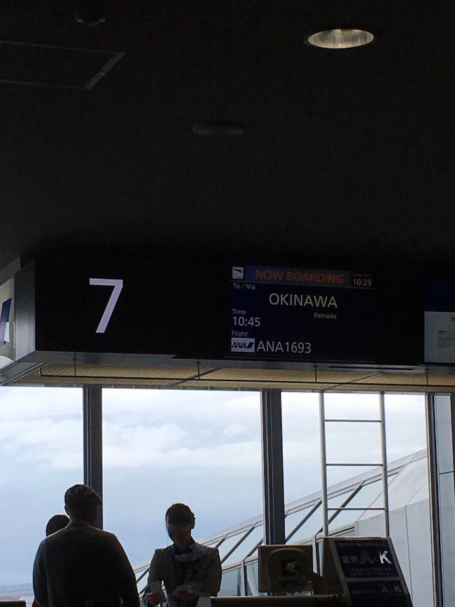 １週間だけ、ANAの直行便が安かったので航空券の期間優先で旅程を組くんだら、クリスマスシーズン真っ只中。<br />2015年の沖縄はオンシーズンばかりでした。<br /><br />飛行機：新千歳ー那覇（ANA特割￥10,700×２）<br />宿泊：ココガーデンリゾートオキナワ（４泊￥42,000）<br /><br /><br />
