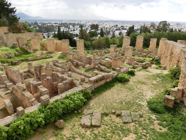 「カルタゴ遺跡」は「チュニス郊外」にある「テュロスの女王ディードー」が「紀元前８１４年（チュニジア政府説）」に建設したとされる「ローマ軍」との「ポエニ戦争」が有名な「古代都市国家の遺構」です。<br /><br />「ビュルサの丘」は「チュニス郊外」にある「古代カルタゴの城塞」が築かれていた「丘」です。<br /><br />「ビュルサの丘」は「第三次ポエニ戦争末期」の「紀元前１４６年」に「スキピオ・アエミリアヌス（小スキピオ）」の率いる「共和政ローマ軍」に敗れ「カルタゴ」は陥落し「ビュルサの施設」も破壊されました（ウィキ）。<br /><br />「カルタゴ遺跡（ビュルサの丘）」は「１９７９年」に「カルタゴ遺跡」として「世界遺産」に登録されています。