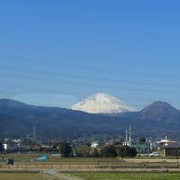 箱根にプチ湯治に行きました！！