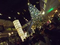 回転するクリスマスツリーのあるレストランに群がるベトナムの人々