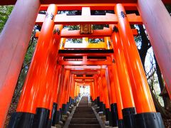 2016年　1月　京都府　伏見稲荷大社