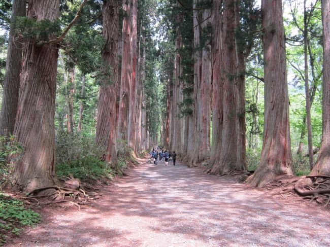 気分転換にパワースポット的なところを探していて，<br />戸隠神社を見つけたのが今回の旅行のきっかけ。<br />歩きはしましたが，体力的にそれほどキツいものでもなく，リフレッシュになりました。<br />そばも美味しかった。