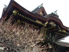 2016年冬の京都◆『とようけ茶屋』でランチ～梅がちらほら『北野天満宮』