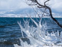 冬の猪苗代湖畔　～天神浜のしぶき氷と野口英世記念館～　