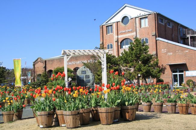 冬の花をさがしに淡路島めぐり