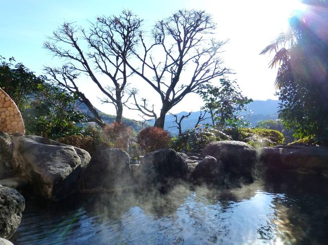 今回の旅で泊まったお宿は、湯河原の《おやど瑞月》さん。<br /><br />以前、このお宿を予約したことがあったのですが、直前になって夫が風邪でダウンし、キャンセルする羽目に。キャンセルの電話をしたとき、こちらがご迷惑をかけたにもかかわらず、お宿の方（たぶんご主人）が温かい対応をしてくださり、心にしみました。それで、いつかまたかならず計画しようと思っていました。<br /><br />けれど、このお宿は客室数が少ないこともあって（全５室）、とくに週末の予約を取るのが難しく、なかなか実現しませんでした。去年の２月も試みましたが、すでに満室で叶わず。<br /><br />そして今回、ようやくタイミングが合って、宿泊することができたのでした。<br /><br />★《おやど瑞月》<br />http://www.zuigetsu.com/