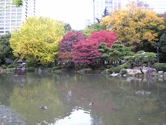 【紅葉】日比谷公園