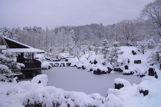 ☆２週連続、南岸低気圧で湿った大雪に見舞われた福島県南部。<br />師走から正月の暖冬のツケが一気に払わされた感じです(-&quot;-)。<br />福島だから雪が降るのは仕方ありませんが<br />南岸低気圧による雪だけは勘弁して欲しいです。<br />同じ積雪量（雪かさ）でも冬型の雪と南岸低気圧による雪では<br />重みが全然違うので雪掻きがやたら大変です。<br /><br />豪雪地帯の人からみれば２０〜３０ｍの雪など可愛いもんかも知れませんが<br />湿った雪だけは願い下げです。<br />でも愚痴っていても雪がなくなるわけではないので<br />さっさと雪掻きを終わらせ、メゲズに雪景色を撮りに出かけました。<br />雪景色なら山の方がキレイかも知れませんが、<br />大雪だと通行が心配なので近場で確実に除雪されているであろう<br />福島空港公園内の、日本庭園に行くことにしました。<br /><br />