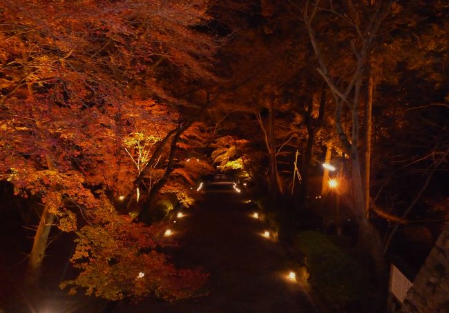 大人気の京都の紅葉ですが混雑がひどい…。<br />人ごみは疲れるので混雑を避けて静かに京都と滋賀の紅葉を楽しみました。<br />人気のあるところも良いのですが、情緒を楽しみたいなら穴場がお勧めです。<br />人が少ないスポットをゆっくりと巡ってきました。<br />・サンドイッチ＆カフェオレでランチ（京都三条駅付近）<br />・毘沙門堂（京都市山科区）<br />・日吉大社（大津市）<br />・滋賀院門跡（大津市）<br /><br />以上をその１で巡って、その２では三井寺（園城寺）と清水寺を巡ってきました。<br />清水寺はやはり混雑がひどくて…。<br />個人的には三井寺の方が印象に残りました。<br /><br />写真はライトアップされた三井寺（園城寺）の境内です。<br />今年からライトアップが始まったようですが、あまりＰＲしていないようでガラガラでした。<br />広い境内にほとんど人がおらず、<br />もし私が観光ガイドをしていたら絶対にこちらを勧めたいと思いました。<br />滋賀は人も少なくて良い写真が撮れました。