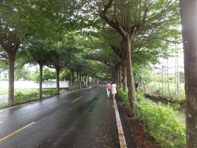 【屏東の友達の家に遊びに行きました】<br /><br />・屏東の友達の家にお邪魔しました<br />・屏東の安巒山莊でベジタリアン料理<br />・屏東県潮州鎮の緑色隧道(泗林健走歩道)を散策、良い所でした<br />・別のお友達の家に行きました<br />・別のお友達、洪さんの家に行きました<br />・新園牛肉爐和生店で鍋料理<br /><br />「写真」緑色隧道(泗林健走歩道)