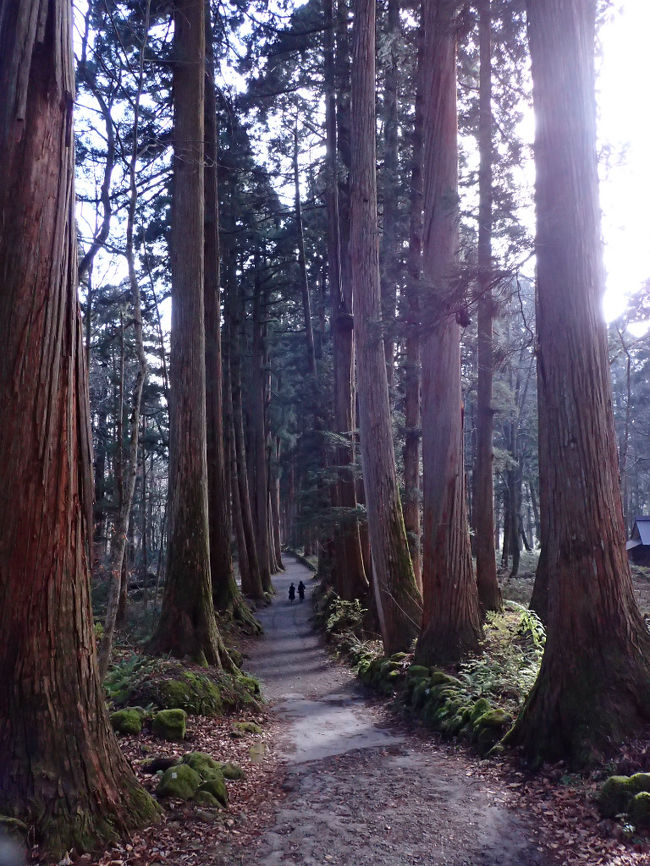 前から興味のあった長野。<br /><br />日本神話にゆかりの場所である戸隠神社と、有名寺の善光寺へ。<br />今回は行きが夜行、帰りは日中のバス利用。<br /><br />東京から長野へ、1泊2日の弾丸旅(正式には1泊3日1車中泊)。<br /><br />1日目：長野駅＋戸隠神社<br />2日目：善光寺界隈<br /><br />※書くことがまとまらず長くなってしまったので、日ごとに分けての旅行記になります。