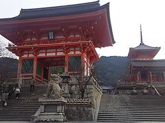 夜行バスで大阪帰省。京都に立ち寄り、四条～八坂神社～清水寺～伏見稲荷大社①/②