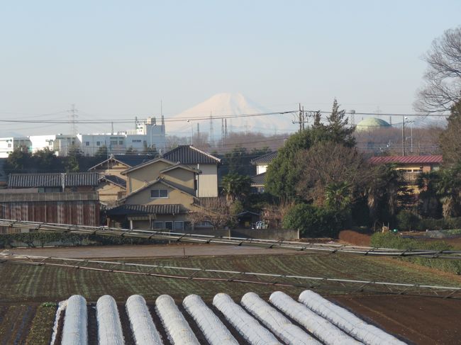 2月5日、午前8時40分頃にふじみ野市から見られた富士山を撮影した。　この日は久しぶりに暖かい一日であったために富士山はやや霞んで見られた。<br /><br /><br /><br />＊写真はふじみ野市から見られた富士山