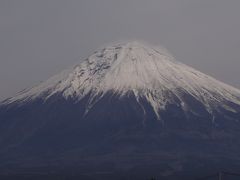 今年初富士