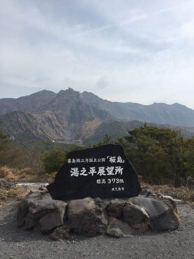 2016年2月、<br />神戸より鹿児島へ飛行機で１泊2日の旅。<br />3歳児の子連れ旅行です。<br /><br />初日は鹿児島空港付近でレンタカーで足を伸ばして指宿へ、<br />2日目は桜島をはじめとした市内観光を楽しんできました。