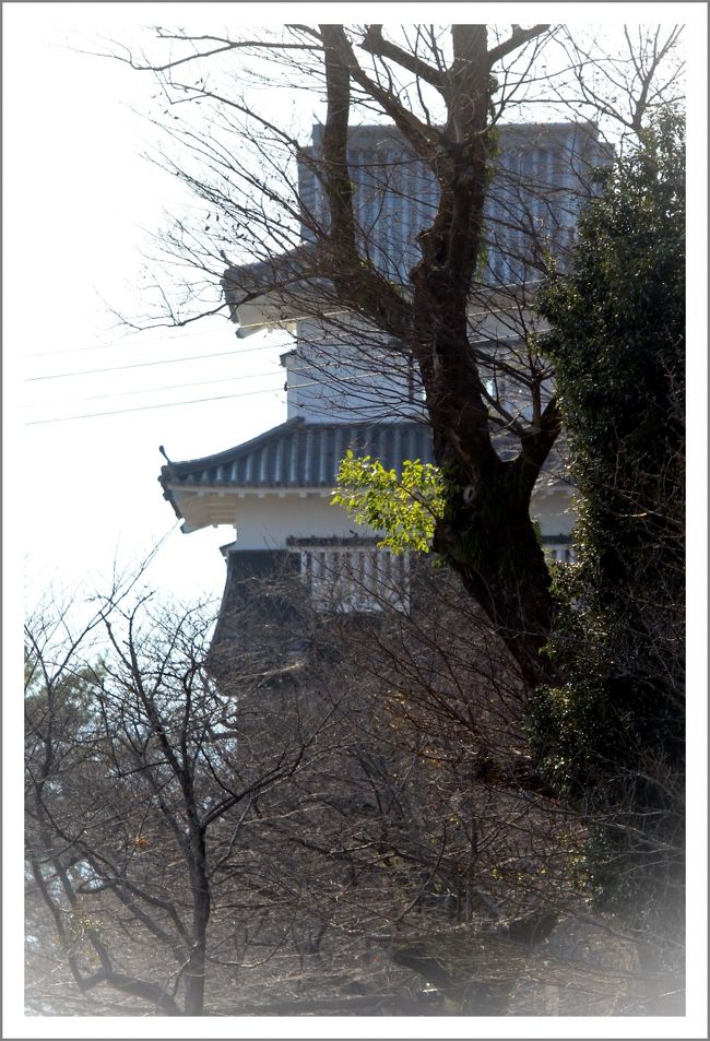 ■恒例の年末年始車旅 　【　ぐるっと九州の上半分を走破♪３泊４日　】<br /><br />　大村公園玖島城跡散策・長崎忘年会〜の巻<br /><br />∇肥前・玖島城／長崎県大村市玖島<br />　城は大村湾に突き出した半島に築城された平山城で天守は建造されませんでした。現在は大村公園となっており、天然記念物のオオムラザクラや菖蒲など季節折々の花が咲くことで有名です。<br />　慶長4年(1599年)、初代藩主大村喜前(よしあき)が築城してから12代藩主純熈(すみひろ)の代(幕末)まで、270余年間大村氏の居城でした。<br />　大村氏は藤原純友の後裔を称し、純友の孫直澄が肥前国藤津郡・彼杵郡・高来郡の三郡を与えられ、彼杵郡大村郷に住んで大村氏を称したことに始まるとされています。喜前の時、玖島城を築き三城より居城を移しました。<br />　大村純前は有馬晴純の次男純忠を養子に迎え家督を継がせました。これが初のキリシタン大名として知られる大村純忠です。<br />　純忠は永禄6年(1563年)洗礼を受けてバルトロメウの洗礼名を与えられました。<br />　天正15年(1587年)豊臣秀吉の九州征伐に従い所領を安堵され、純忠の後に家督を継いだ大村喜前は、関ヶ原合戦で東軍について小西行長の宇土城を攻め、二万八千石弱の所領を安堵されました。<br />　喜前(よしあき)は、秀吉の死後、天下の乱れを恐れて防備を固くするため、朝鮮の役での教訓を生かし、三方を海に囲まれた要害の地玖島(くしま)を選んで本城を築き、三城(さんじょう)城よりここに移りました。 <br />　慶長19年(1614年)大改修を行い、最初北側にあった大手を、現在のように、南側に移しました。<br />　この大改修の設計を、築城の名人加藤清正に指導を仰いだと伝えられています。本丸には天守閣はなく、平屋の館がありました。<br />　城の石垣は、当時のまま良く残っており、特に南堀に面した石垣の美しい勾配は壮観です。<br />　海に囲まれた玖島城には、御船蔵(おふなぐら)、新蔵波止(しんぐらばと)、船役所跡など海運に関する施設が多く残っており、海城の特徴を見ることが出来ます。<br />　また、遠浅のため敵の兵が上陸できない上、城近くの遠浅の海の中には捨堀を設けるなどしていましたので、一見平凡そうに見えても難攻不落の名城でした。<br />　明治17年(1884年)、本丸跡に歴代の藩主を祭る大村神社が建てられ、現在では桜・つつじ・花しょうぶが咲き競う大村公園として広く市民や観光客にも親しまれています。<br /><br />∇天正遣欧少年使節顕彰之像／長崎県大村市森園町<br />　イエズス会の巡察師ヴァリニャーノの発案で、九州のキリシタン大名、大友、有馬、大村の三侯が、ローマ教皇に遣わした日本人使節です。<br />　正使が 伊東マンショ と千々石ミゲル 、副使が原マルチノと中浦ジュリアン。いずれも当時１３、４歳の少年であり、イエズス会の学校、 有馬セミナリオの学生から選ばれました。<br />　本能寺の変で織田信長が暗殺される数カ月前、１５８２年(天正１０年)２月２０日に長崎の港を出航した一行は、マカオ、ゴアを経て、喜望峰を廻り、２年半後にヨーロッパに上陸しました。<br />　１５８５年３月にローマに入り、同月２３日、ヴァティカンにてローマ教皇グレゴリオ１３世の謁見を賜わりました。<br />　「地の果てからの使者」は、当時のヨーロッパで大変な評判となり、使節は行く先々で歓待されました。<br />　使節に関する同時代の史料も数多く残されており、謁見があった８５年だけでも４９点、１６世紀中には７８点に及ぶ出版物が刊行されました。<br /><br />≪　２日目（12／30）　≫<br />▼早朝、佐世保駅前Ｈ出発<br />▼国道35号線<br />▼シーボルトのあし湯・・・佐賀県嬉野市嬉野町大字下宿乙<br />▼シーボルトの湯・・・佐賀県嬉野市嬉野町大字下宿乙<br />▼嬉野町並み散策・・・佐賀県嬉野市嬉野町下宿〜下野<br />▼元祖忍者村・・・佐賀県嬉野市嬉野町大字下野甲<br />▼塩田宿古い町並み散策・・・佐賀県嬉野市塩田<br />▼浜庄津町浜金屋町茅葺集落散策・・・佐賀県鹿島市浜町南舟津<br />▼浜中町八本木宿酒蔵通り散策・・・佐賀県鹿島市浜町中町<br />▼国道444号線<br />▼萱瀬ダム・・・長崎県大村市黒木町<br />▼大村公園・玖島城跡散策・・・長崎県大村市玖島<br />▼大村神社散策・・・長崎県大村市玖島<br />▼大村市森園公園・・・長崎県大村市森園町<br />▼天正遣欧少年使節顕彰之像・・・長崎県大村市森園町<br />▼長崎自動車道大村インタＯＮ<br />▼ながさき出島道路ＯＦＦ<br />▼眼鏡橋・・・長崎県長崎市魚の町<br />▼忘年会・・・長崎県長崎市銅座町<br />▼長崎駅前Ｈ泊<br />≪　３日目（12／31）　≫　へつづく・・・<br /><br />【　手記　】<br />　恒例となった年末年始九州の旅。今回は（も？）広島から下関〜佐世保九十九島〜嬉野市〜鹿島市〜大村市〜長崎市内〜島原半島（多比良町→長州フェリー）〜玉名市〜八代市〜高千穂〜阿蘇山〜九重方面へとルートをとり、のんびりゆっくりと九州の上半分を反時計回りに走り回ってきました。<br />　車旅ですから細かい予定はありませんが、今回は未だかつて行ったことがない歴史ある古い町並みやお城の散策を目的に動き回ろうと考えておりました。<br />　表紙の写真は玖島城跡（大村公園内）の板敷櫓です。<br /><br />【　追記　】<br />　今が旬の旅日記を優先してアップしているため、年末年始車旅をいまごろアップしております。時期外れの旅日記ですが、ご容赦のほどお願いいたしまーす。