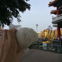 台湾 関子嶺温泉、日月潭、阿里山、台南、高雄の旅201510