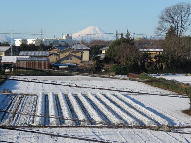 2月7日、午前8時頃に素晴らしい富士山が見られた。　昨夜からの雪景色と一緒になって素晴らしかった。<br /><br /><br /><br />＊写真は素晴らしかった富士山