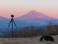 伊豆スカイライン・滝知山公園