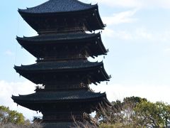 ２０１６年２月　一人ぶらり京都♪　～ド定番「金閣寺」～「龍安寺」の石庭でほっこり～「東寺」で侘び寂を感じ～「イカリヤプチ」で絶品ディナー～「マールブランシュ　カフェ」でスイーツ♪～
