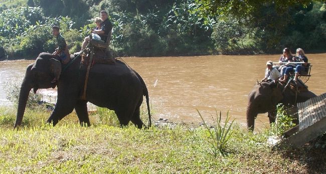 タイ各地を旅して　こここそが自分のロングステイ生活に最適の地と考え<br />長年住み慣れたパタヤを離れ、チェンラーイ県バンドゥに越してきた。<br />２年間住んでみて　その思いはますます強くなってきている。<br />もしかしたらここがオイラの終の棲家に・・・なりそうな予感<br /><br />＊４トラベル使いやすいのですが、カテゴリが地域別しかないので<br />日々の記録は以下のブログで書いています　↓<br /><br />http://blogs.yahoo.co.jp/chidehag<br />