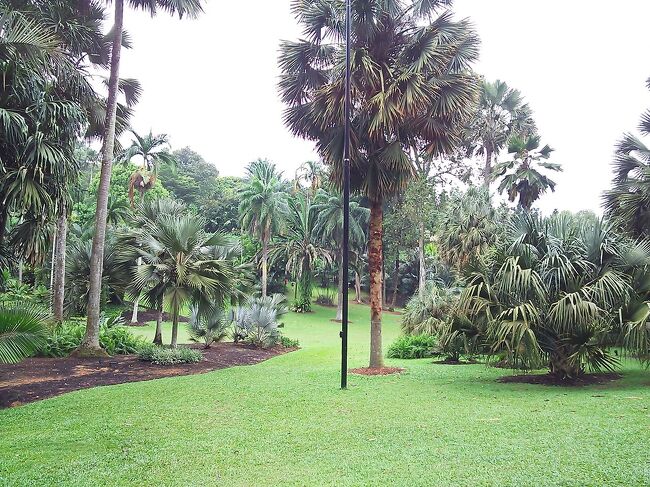 姪の進学祝い旅行兼ねて再びシンガポール