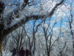 クリスタルフォレストをスノーハイク♪～山中湖麓の三国山～