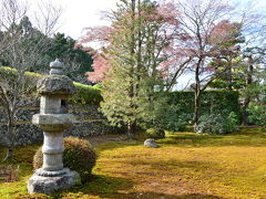 京の冬の旅　相国寺養源院と長得院！2016年