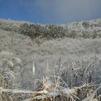 雪の蓼科ダム跡地