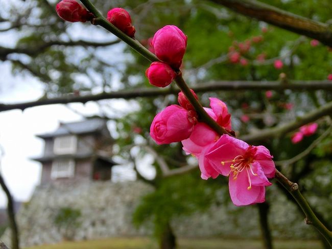 福岡旅行五日目：福岡城