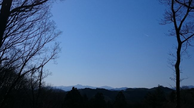 何の気なしに出掛けてみた。<br />見返りの坂・・にて、景色を見てこなかったので、リベンジ・・と、軽く出掛けてみたら。<br />巾着田まで歩くことに・・。<br />グルッと１周コースで約８ｋｍ弱？<br />所要時間 ４時間〔お昼休憩４０分含む〕<br /><br />行き道を戻る往復コースなので、地味ですが、地図も持たずに歩ける位道しるべが立ってるので初心者、子供連れに安心なハイキングコースに思いました。<br /><br />１番きついなと、思った所は、天覧山中段のトイレに行くまで。<br />でも、軽くはぁはぁ、息が乱れる程度で。<br />そこを超えれば、アップダウンあるものの、さほどしんどさ感じず。<br /><br />すれ違う人々。<br />運動靴で、軽装。<br />公園に散歩に来ましたくらいの格好の人多し。<br /><br />行程<br />１１：０４ 中央公園裏の遊歩道<br />１１：３７ 天覧山、展望台<br />１１：５４ 奥武蔵自然歩道、分岐<br />１２：１３ 車道に出る<br />１２：２１〜１３：００ 昼休憩<br />１３：１１ ほほえみの丘<br />１３：１８ 萩の峰<br />１３：２６ 高麗峠<br />１３：４６ 車道に出る<br />１４：０４ ドレミファ橋・巾着田<br />帰路<br />１４：４２ ほほえみの丘<br />１４：５７ 天覧山、車道から山道へ入る分岐。<br />１５：１０ 車道にて駐車場へ。<br /><br />無料駐車所・・飯能文化会館<br />無料トイレ・・中央公園、天覧山中腹・巾着田<br /><br />学んだこと<br />道しるべで、矢印が上を向いている時は注意！<br />