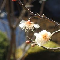 今まで5−6回来ている石川県ですが、初観光です！