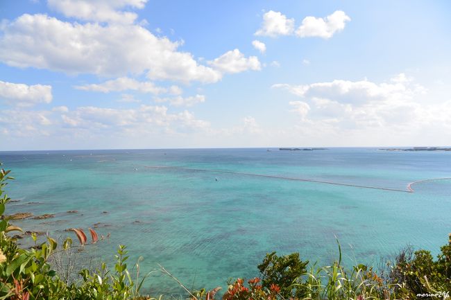 沖縄の２日目は、今回のメインイベントであるシンポジウムですが、始まる前の時間を利用して公設市場をちょっと見学しました。<br /><br />３日目は、名護にある大浦湾・辺野古の海を視察に出掛けました。<br />グラスボートから覗き見る海の底には、美しいサンゴ礁や魚たちを見ることが出来ました。<br />