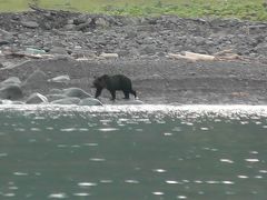 魚を咥えたヒグマ像／北海道の知床・ウトロの土産店にて購入した