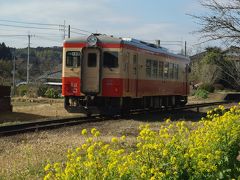 菜の花と「いすみ鉄道」を見たら、「ポッポの丘」に往年の列車に会いに行こう！