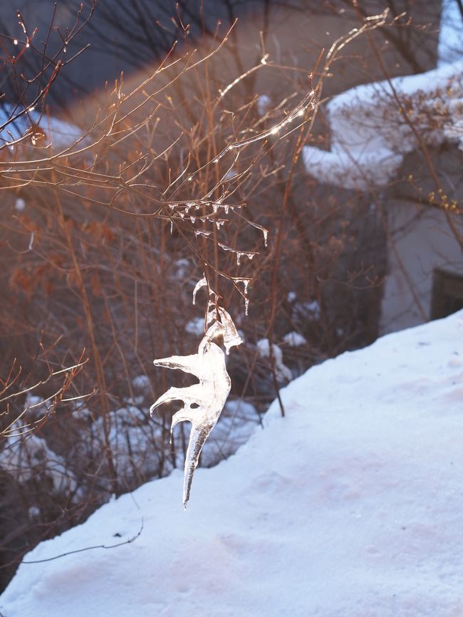 残雪に　凍えし身　癒す　四万温泉