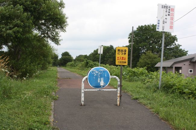2015年の夏休み、「北海道フリーパス」や「萌えっ子フリーきっぷ」を利用して、道東や道北を回ってきました。<br />旅の目的は、<br /> ①道東や道北の廃線跡を巡る。<br /> ②急行「はまなす」に乗る。<br /> ③ワッカ原生花園に行く。<br /> ④湧別から稚内までオホーツク海沿岸をバスで走破する。<br />でした。<br />その20は、クッチャロ湖・天北線廃線跡巡り・浜頓別編です。<br /><br />その1 出発・急行「はまなす」乗車編http://4travel.jp/travelogue/11041078<br />その2 JR北海道バス深名線乗車・深名線廃線跡巡りhttp://4travel.jp/travelogue/11041107<br />その3 続・JR北海道バス深名線乗車・深名線廃線跡巡り編http://4travel.jp/travelogue/11041253<br />その4 名寄散策編http://4travel.jp/travelogue/11041810<br />その5 旭川・深川往復・石北本線代行バス乗車編http://4travel.jp/travelogue/11041864<br />その6 ワッカ原生花園編http://4travel.jp/travelogue/11042219<br />その7 続・ワッカ原生花園編http://4travel.jp/travelogue/11042896<br />その8 続々・ワッカ原生花園編http://4travel.jp/travelogue/11043342<br />その9 常呂散策・湧網線廃線跡巡り編http://4travel.jp/travelogue/11043401<br />その10 湧網線廃線跡巡り・網走散策編http://4travel.jp/travelogue/11043907<br />その11 ふるさと銀河線廃線跡巡り・北見編http://4travel.jp/travelogue/11044030<br />その12 名寄本線廃線跡巡り・遠軽編http://4travel.jp/travelogue/11045118<br />その13 名寄本線・湧網線廃線跡巡り・中湧別編http://4travel.jp/travelogue/11089240<br />その14 湧網線廃線跡巡り・計呂地編http://4travel.jp/travelogue/11089313<br />その15 名寄本線廃線跡巡り・紋別・渚滑編http://4travel.jp/travelogue/11089860<br />その16 名寄本線廃線跡巡り・上興部編http://4travel.jp/travelogue/11091536<br />その17 名寄本線廃線跡巡り・興部・沙留編http://4travel.jp/travelogue/11092481<br />その18 興浜南北線廃線跡巡り・雄武・枝幸編http://4travel.jp/travelogue/11093415<br />その19 興浜北線・天北線廃線跡巡り・浜頓別編http://4travel.jp/travelogue/11097023
