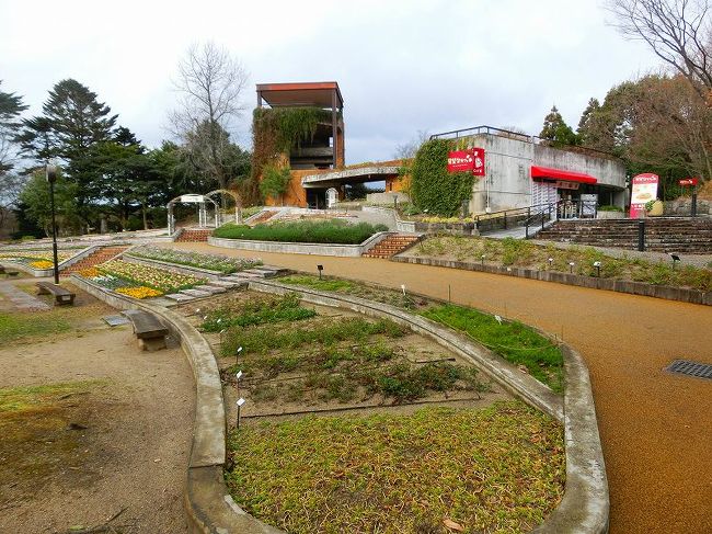 福岡旅行五日目：福岡市植物園