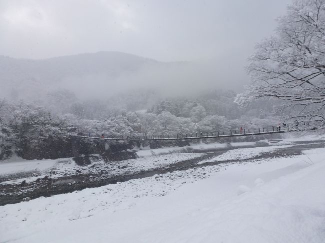 昨年に引き続き、冬の奥飛騨へ雪景色と雪見風呂、美味しい飛騨牛を求め行ってきました。<br />今年は暖冬の影響で雪が少なく、昨年見た豪雪地帯の景色と少し違っていました。<br /><br />しかし白川郷では雪が舞い、想定していた雪の合掌づくりを堪能できたので(^_^)v<br />温泉地では獅子舞と氷の幻想的な世界と白銀の景観を楽しみました☆彡<br />美味しい郷土料理と飛騨牛に舌鼓を打ち、身体の芯まで温まる温泉で日頃の疲れを癒し(^o^)／<br />1泊2日と慌しい日程ですが、お宿ではゆったり過ごすことができました。<br /><br />タイトルは「奥飛騨冬物語」と大袈裟ですが、別にロマンチックな物語があったわけではなく、いつもの様にただの旅行日記ですが、宜しくお願い致します。<br />