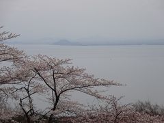 桜舞う海津大崎と琵琶湖バレイ空中散歩