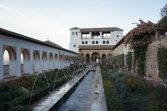 昨日、宿泊したホテルは「アルハンブラ宮殿」すぐそば、ヘネラリーフェ庭園から見学でした。