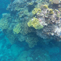 タナ島で火山ツアーとシュノーケル