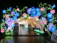 雨なので　時之栖がメインかな